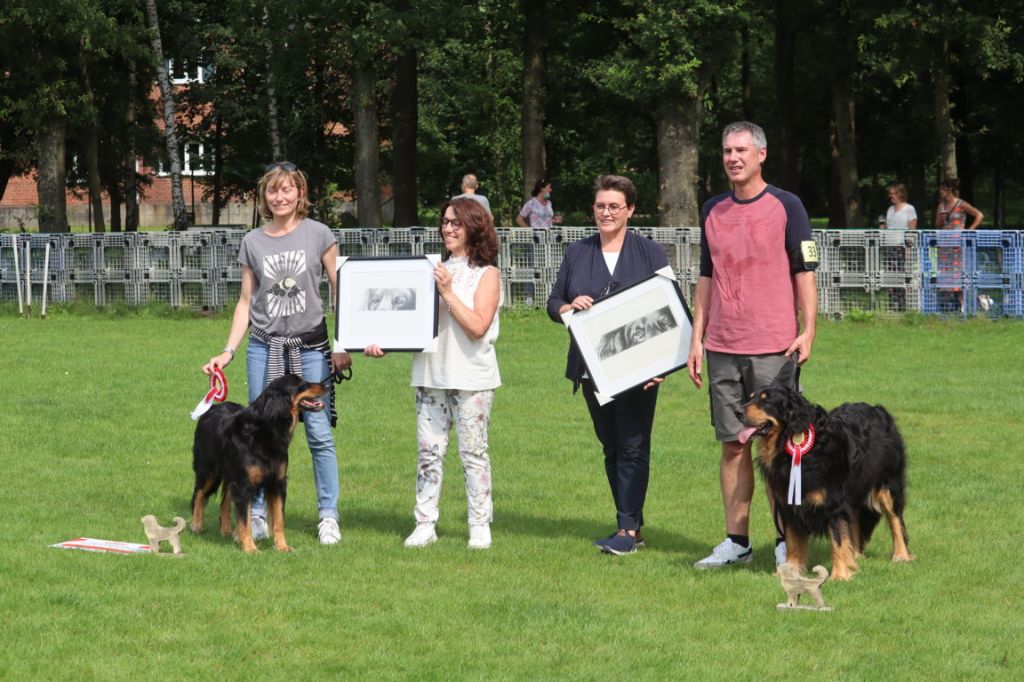 Des Bunkers De L'Elnon - Kashmir et Jango, meilleurs chiens à la Nationale d'élevage belge!