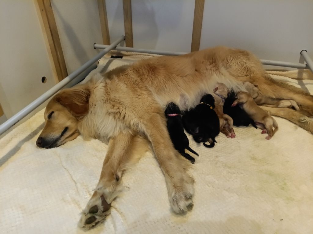 Sahel est MAMAN!